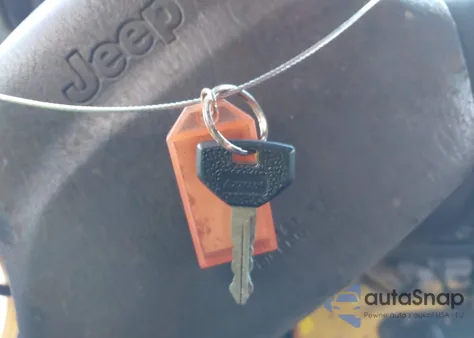 2002 Jeep Wrangler X из США, поврежденный, VIN 1J4FA39S32P725058